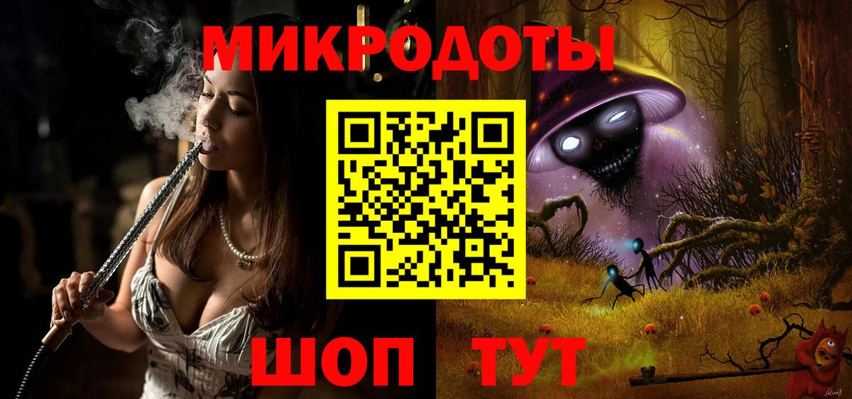 Галлюциногенные грибы Psilocybe Карпинск